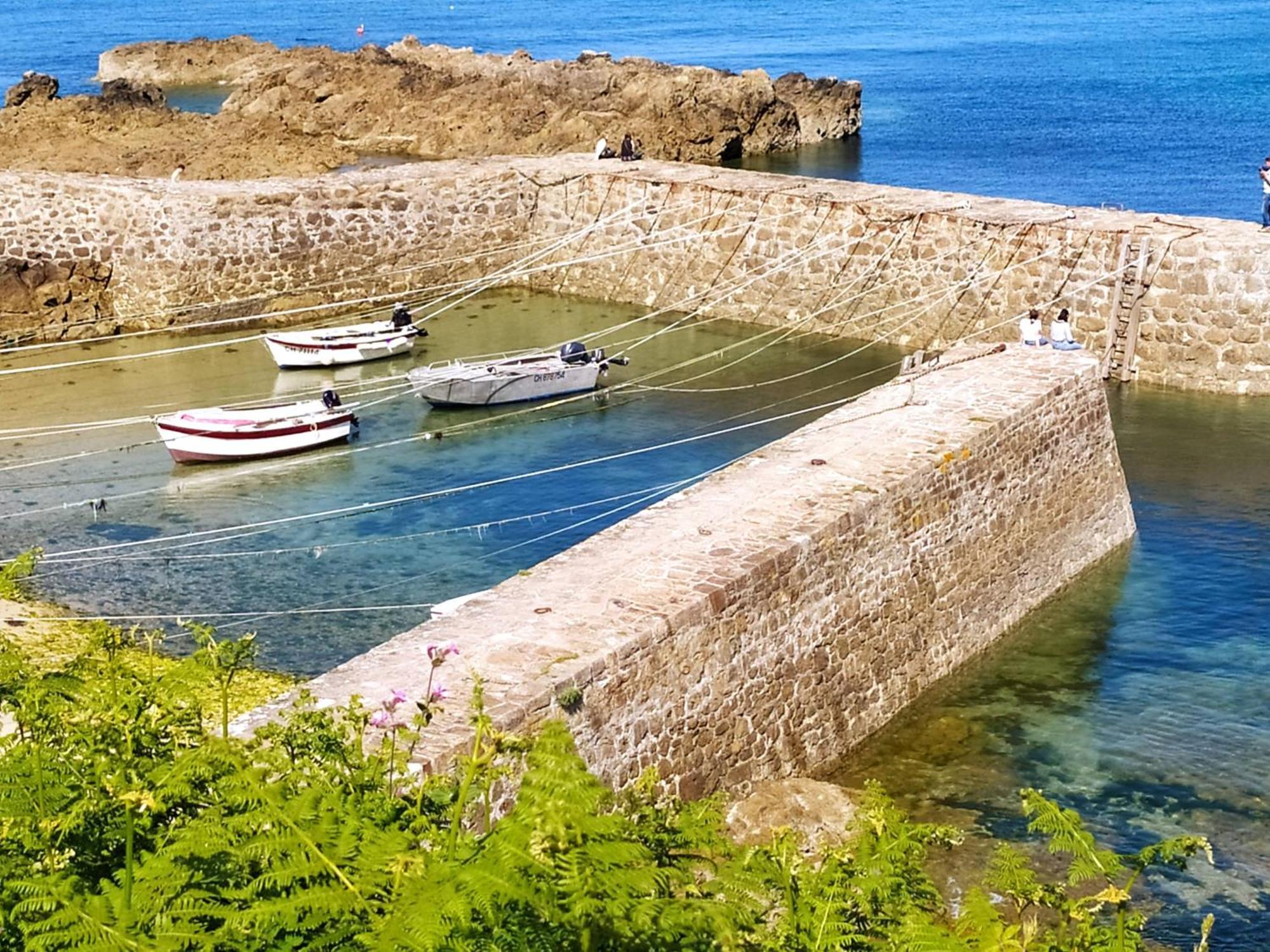 Chambre Entre Mer Et Campagne Greville-Hague Dış mekan fotoğraf